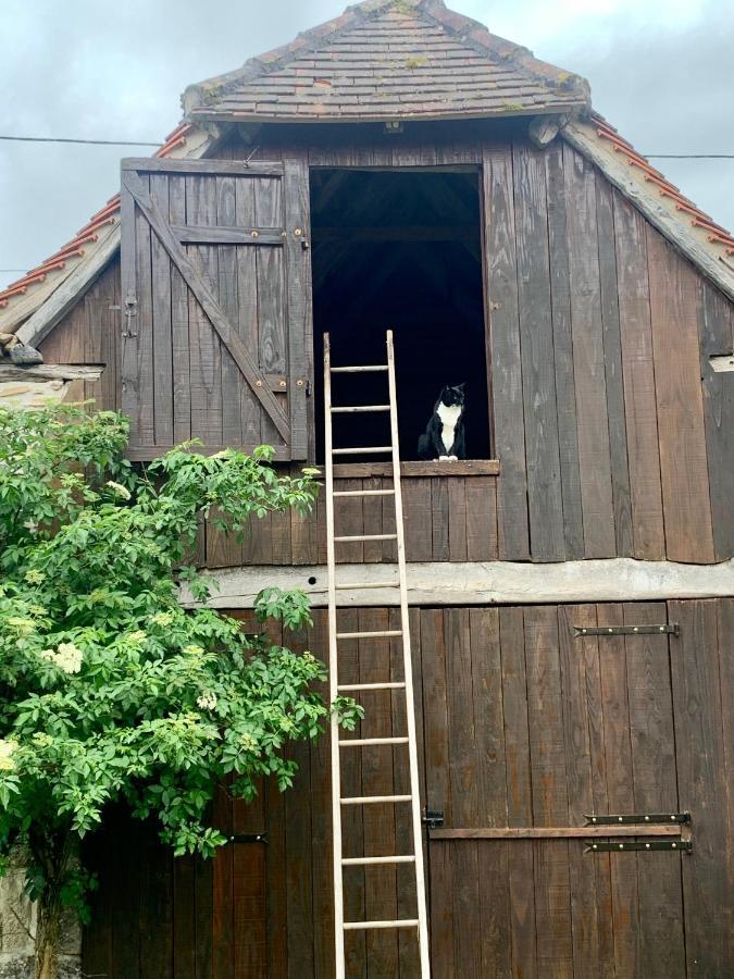 Chambres D'Hotes Pech Blanc Calvignac 외부 사진